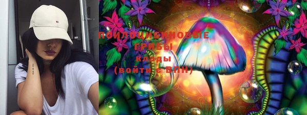 прущая мука Надым