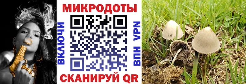 что такое наркотик  Нерехта  ссылка на мегу вход  это как зайти  Псилоцибиновые грибы прущие грибы 